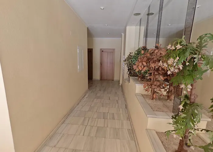 Apartment Floor With Terrace Near The