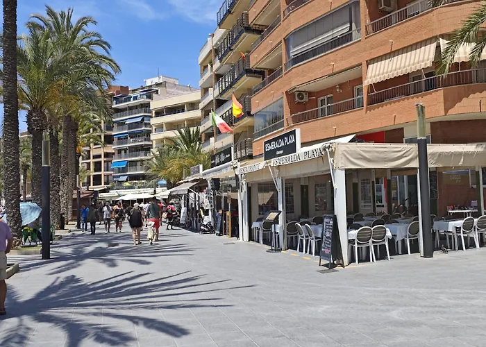 Floor With Terrace Near The Apartment