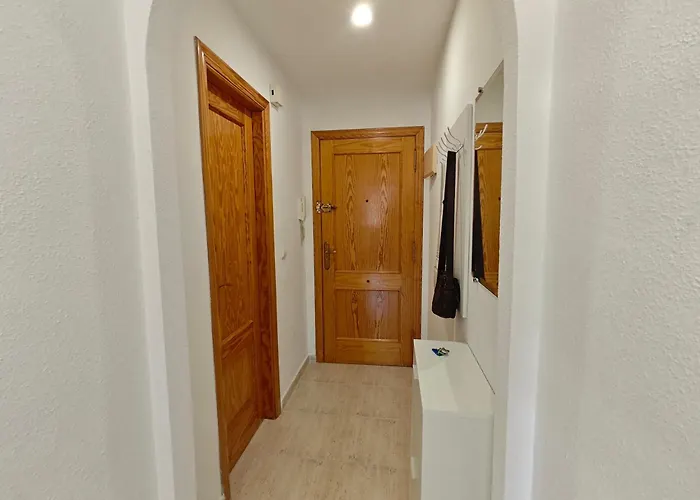 Floor With Terrace Near The Apartment *