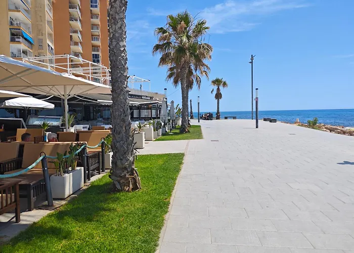 Floor With Terrace Near The Apartment *